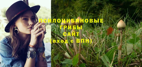 СК Балахна