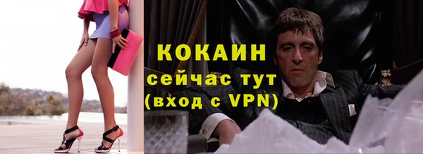 прущие грибы Баксан