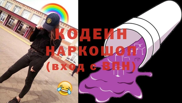 прущие грибы Баксан