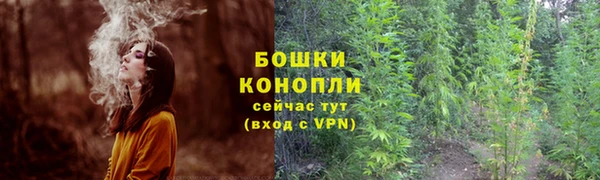 прущие грибы Баксан