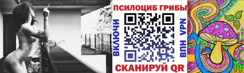 наркотики  Ногинск  Галлюциногенные грибы мицелий 