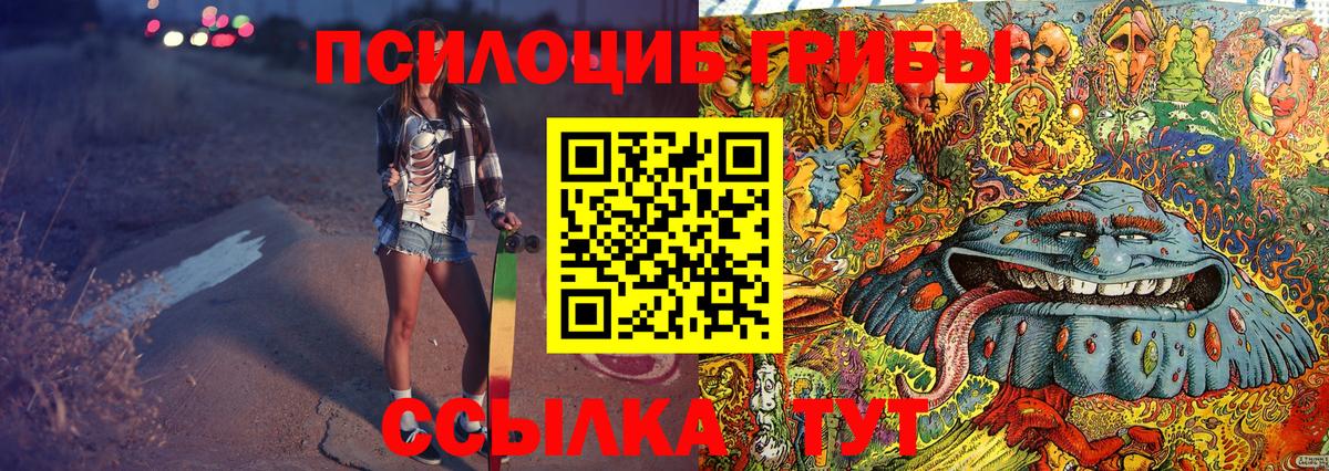 Галлюциногенные грибы MAGIC MUSHROOMS  Псилоцибиновые грибы Cubensis  Ногинск  Вход с VPN 