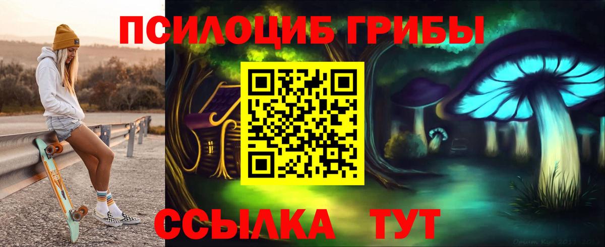 Псилоцибиновые грибы Magic Shrooms Ногинск